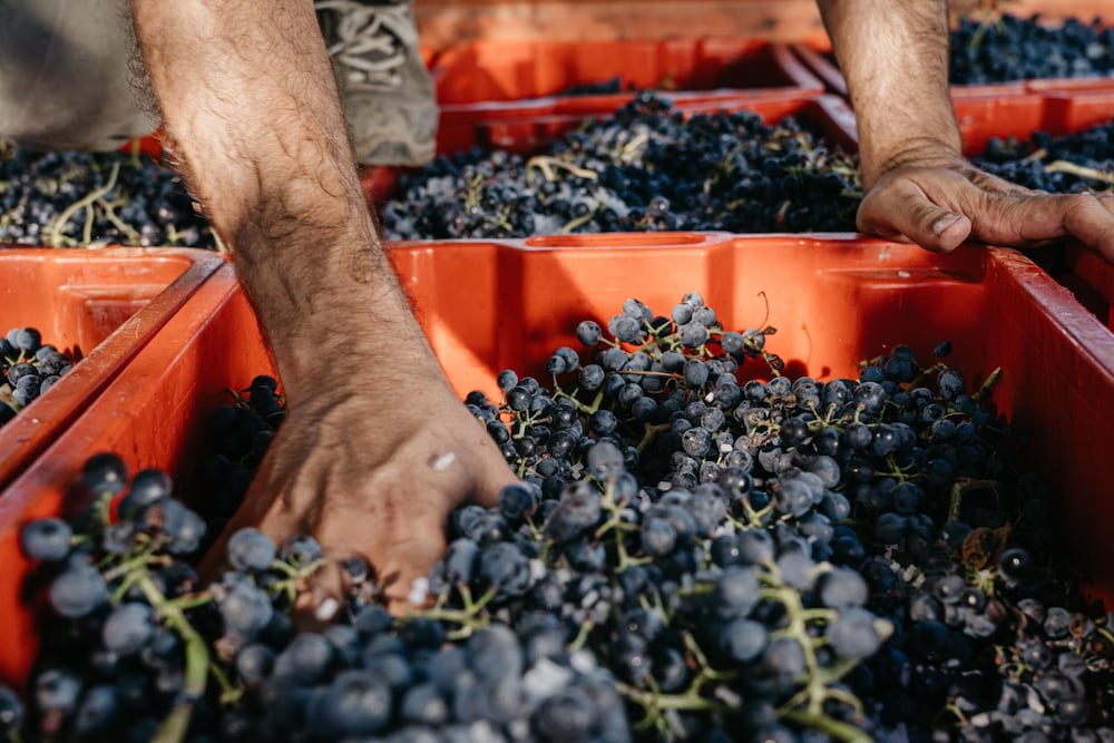 Agriturismo il Querciolo, Billede 59