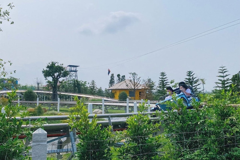 Buffalo Island Resort