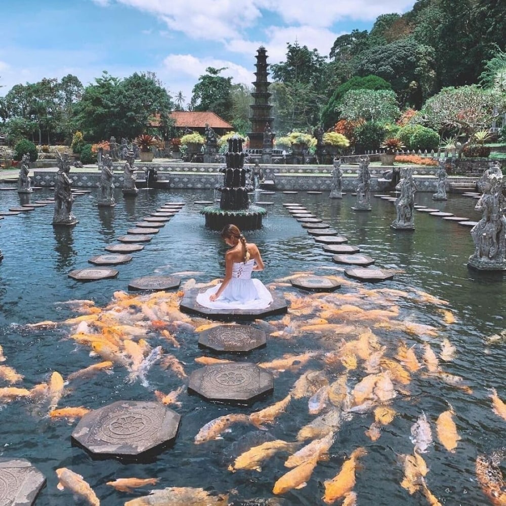 Photo 29