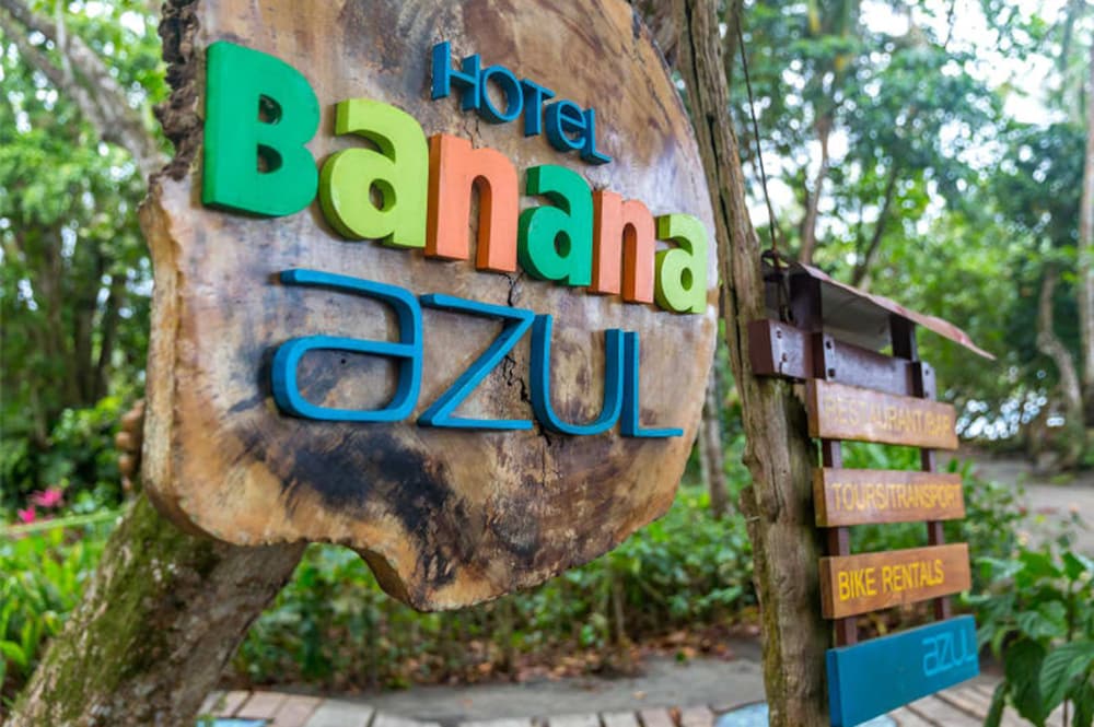 Hotel Banana Azul - Adults Only