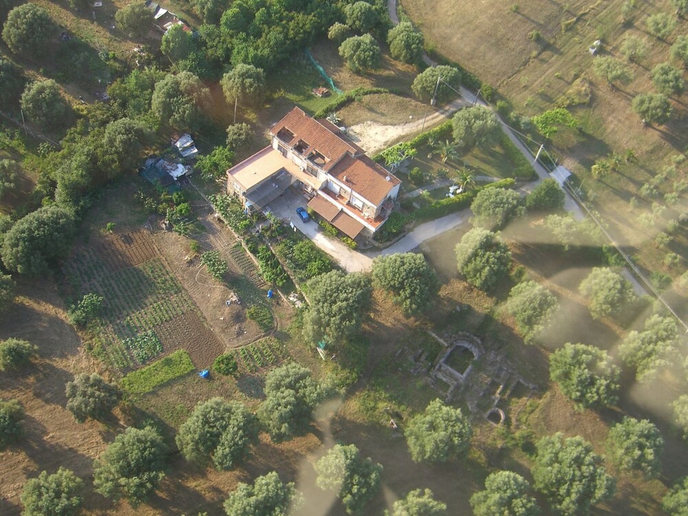 Photo 14