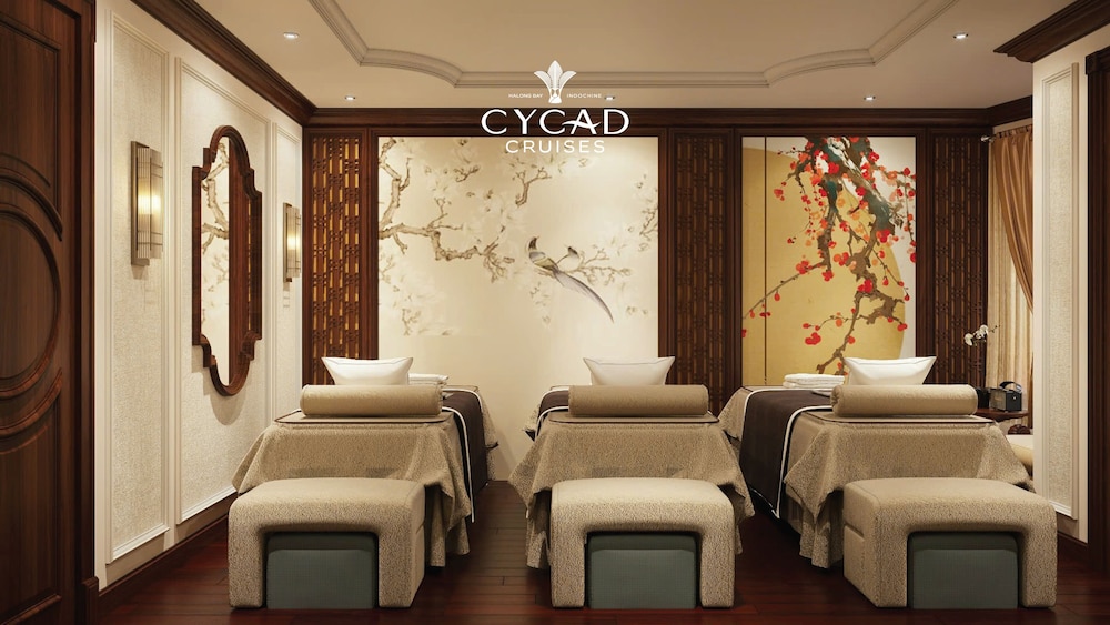 Cycad Cruise