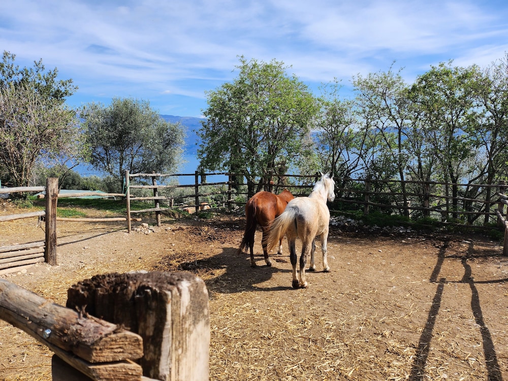 Agriturismo Scuderia Castello