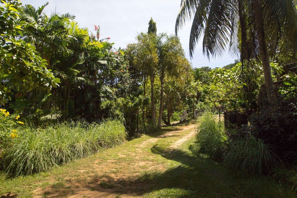 Lemongrass Lodge