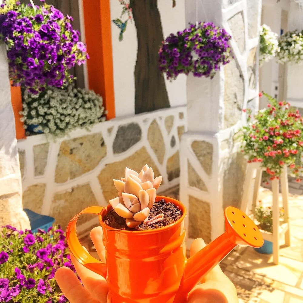 Sade Butik Otel - Image 126