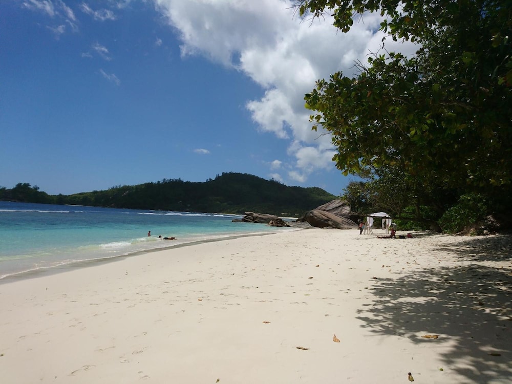 A Peace in Paradise