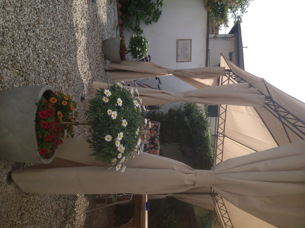 Photo 51