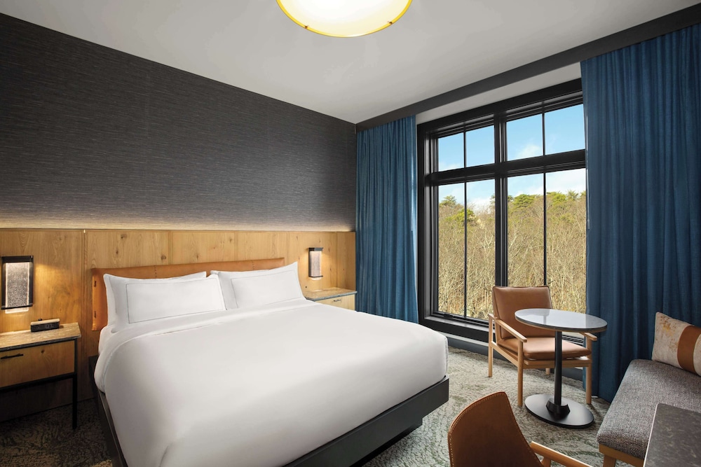 Cloudland at McLemore Resort Lookout Mountain, Curio by Hilton - Property Image 52