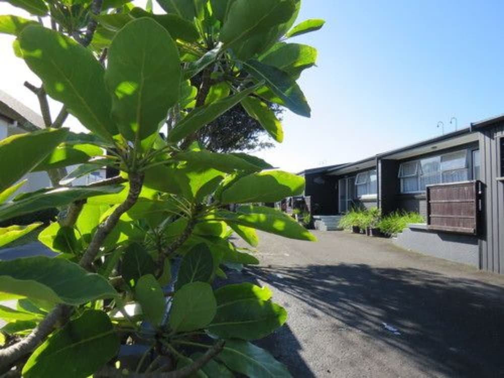 Blue Wave Motel Mount Maunganui