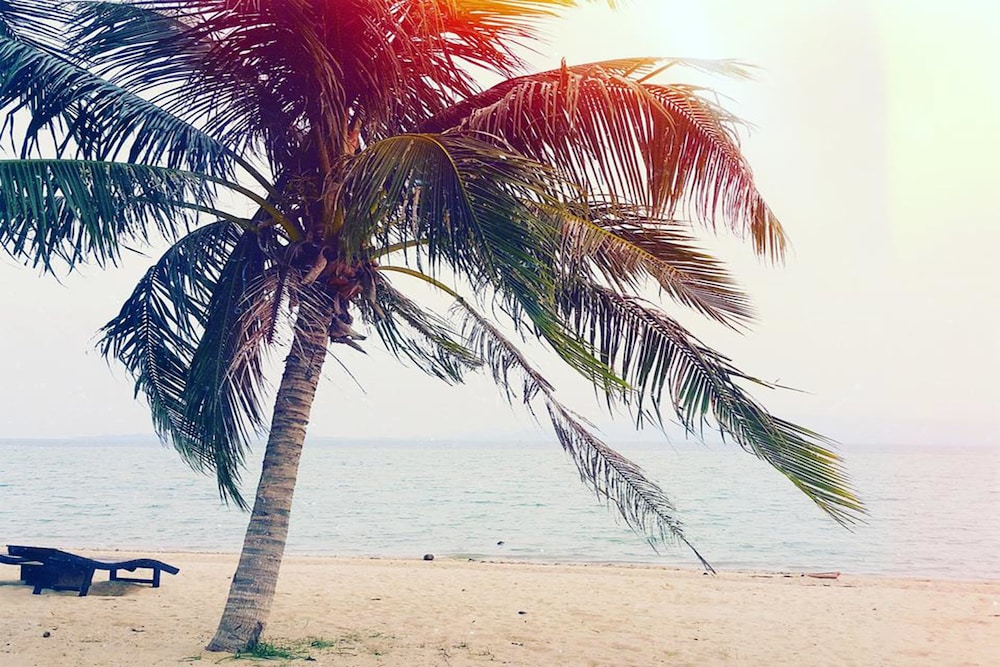 Domingo Hostel Phangan