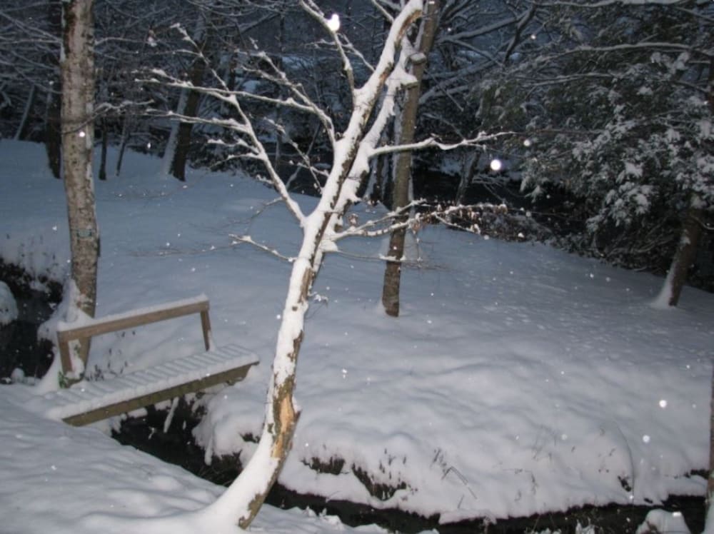 Linville River Log Cabins