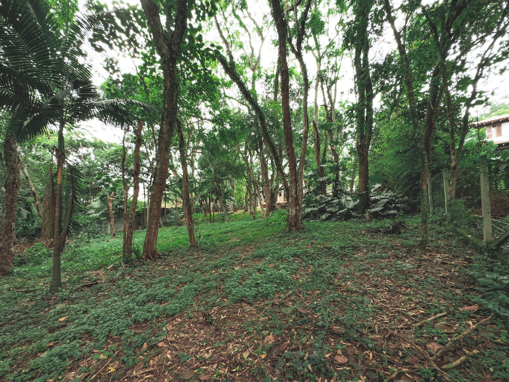 Chalé Encantador na Granja Viana