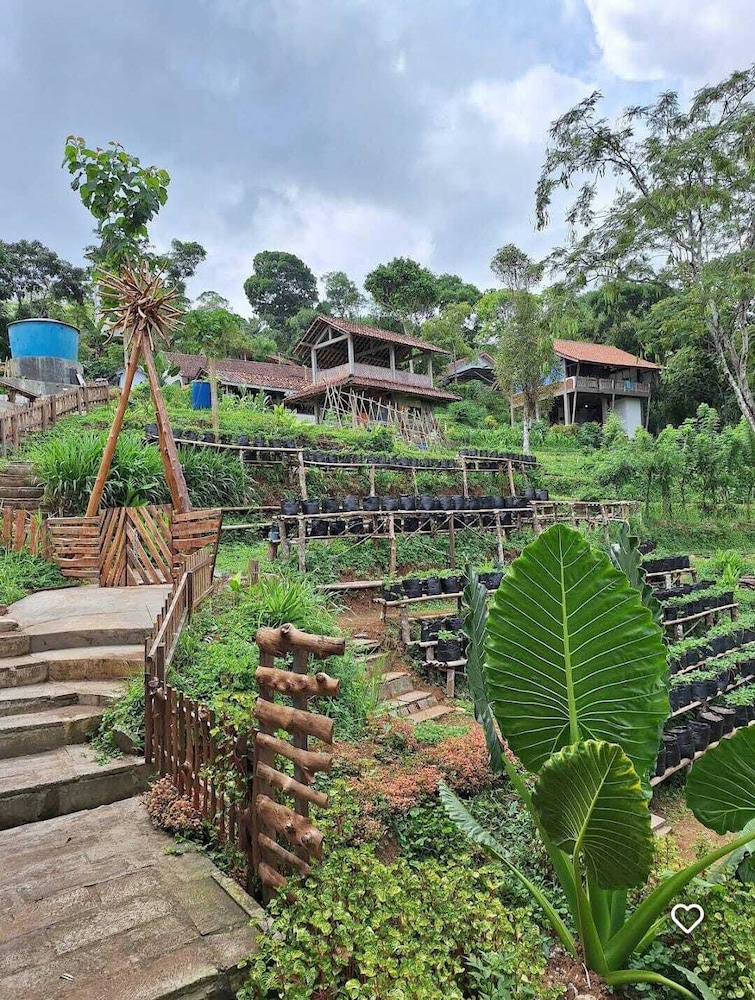 Menoreh Farm Stay Samigaluh Kulonprogo