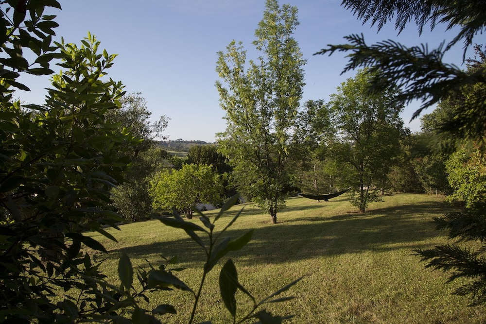 Photo 45