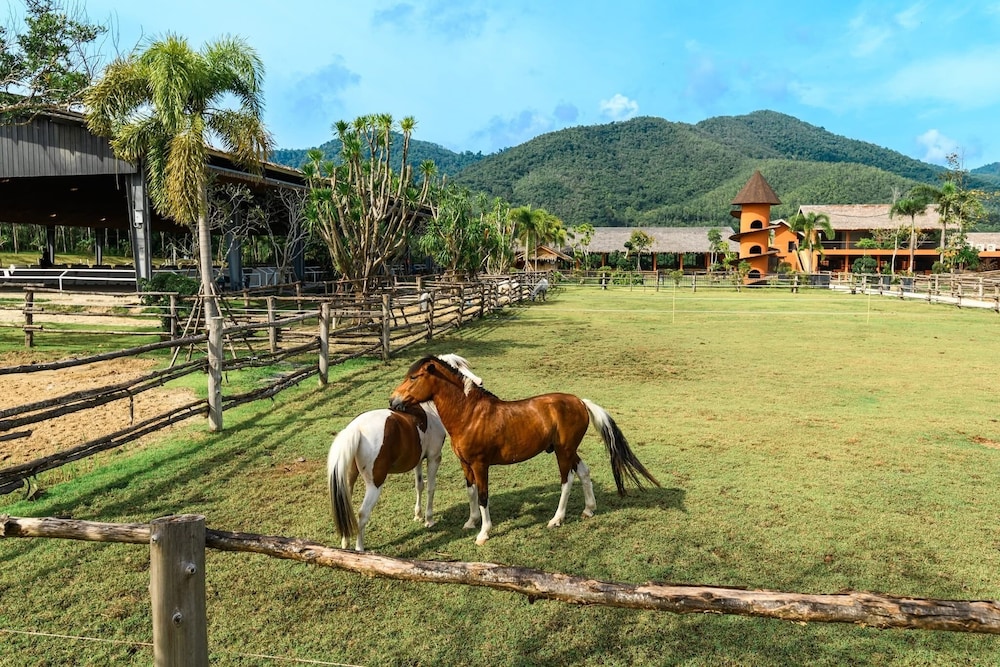 Fabulous 2br Pool Villa Walk to Bangtao Beach and Catch Club