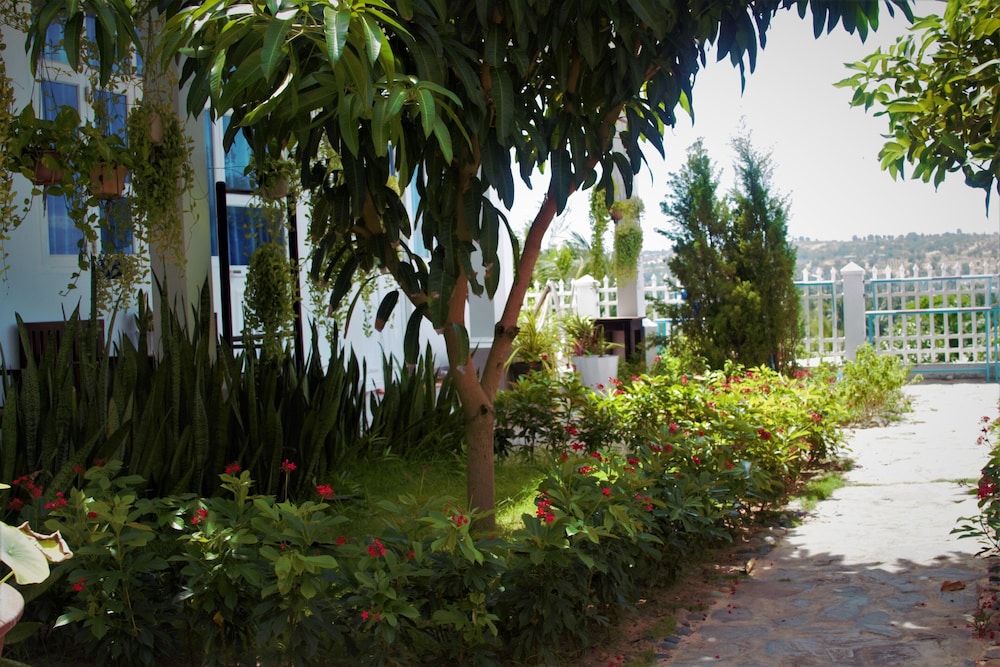 Photo 15