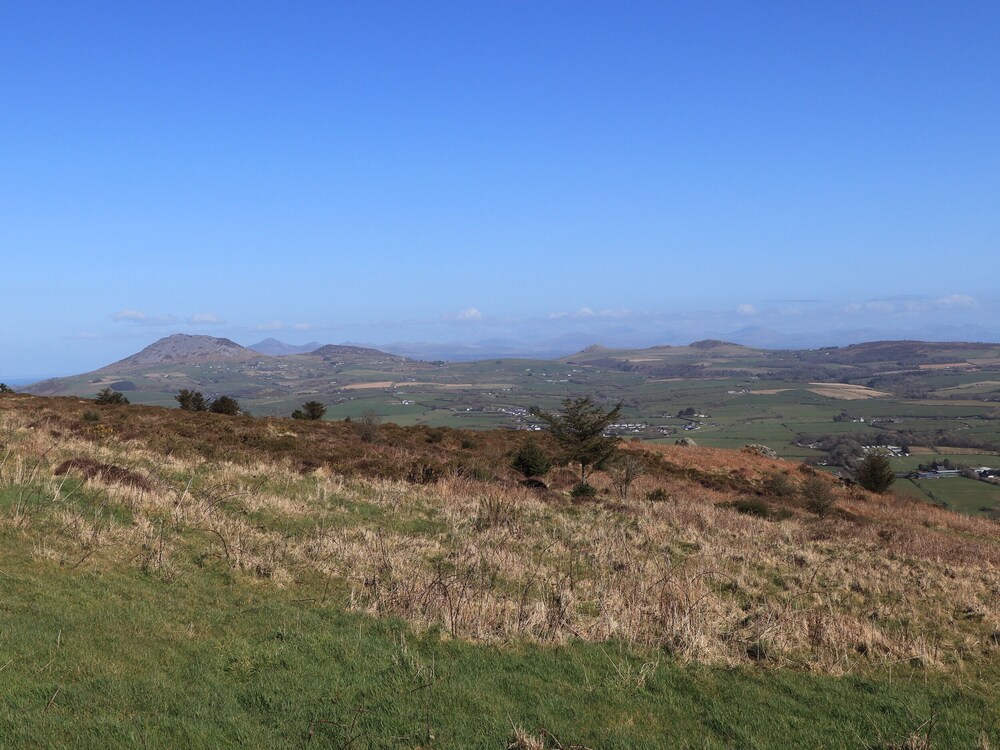 Bryn Meillion
