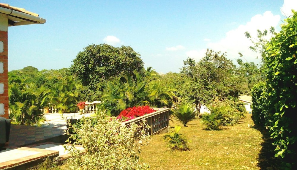 Photo 11