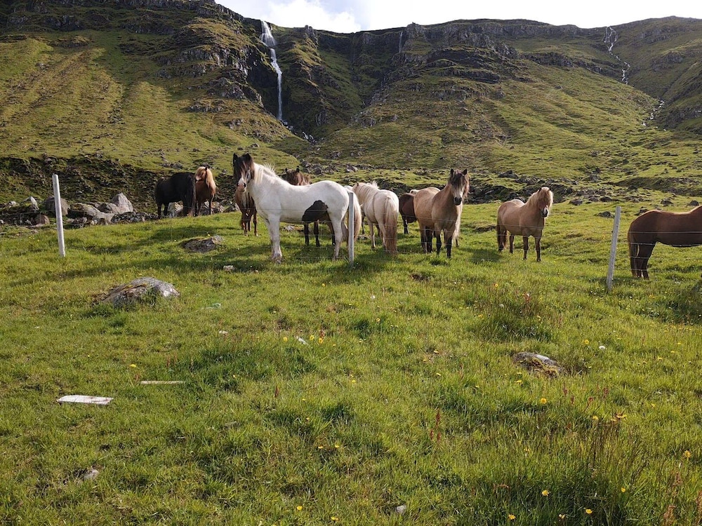 Kirkjufell View Cottages