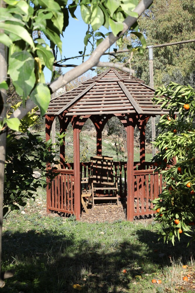 Shulamit Yard