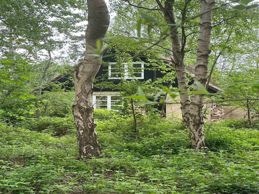 5 Star Holiday Home in Knebel