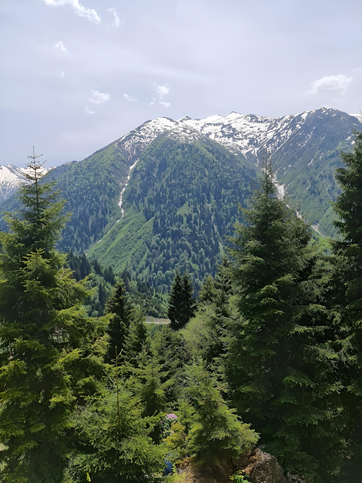 Ayder Yayla Bungalov view 3