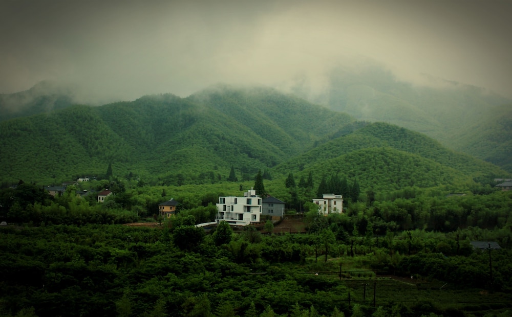 Moganshan Wild House
