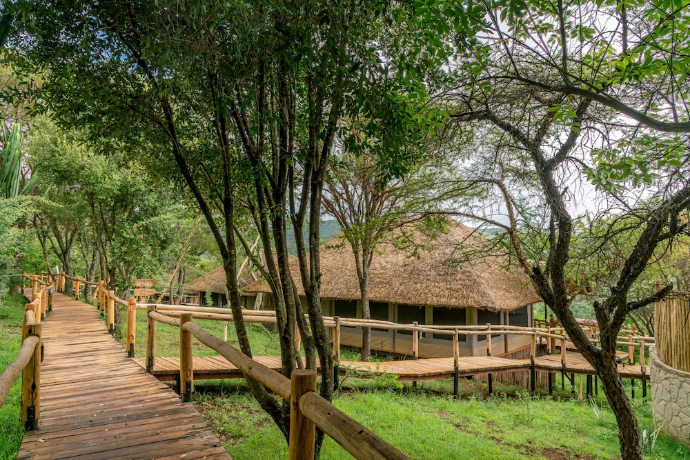 Ngorongoro Forest Tented Lodge