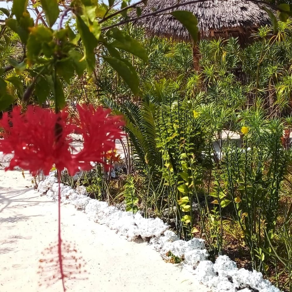The Dream Garden Bungalow view 5