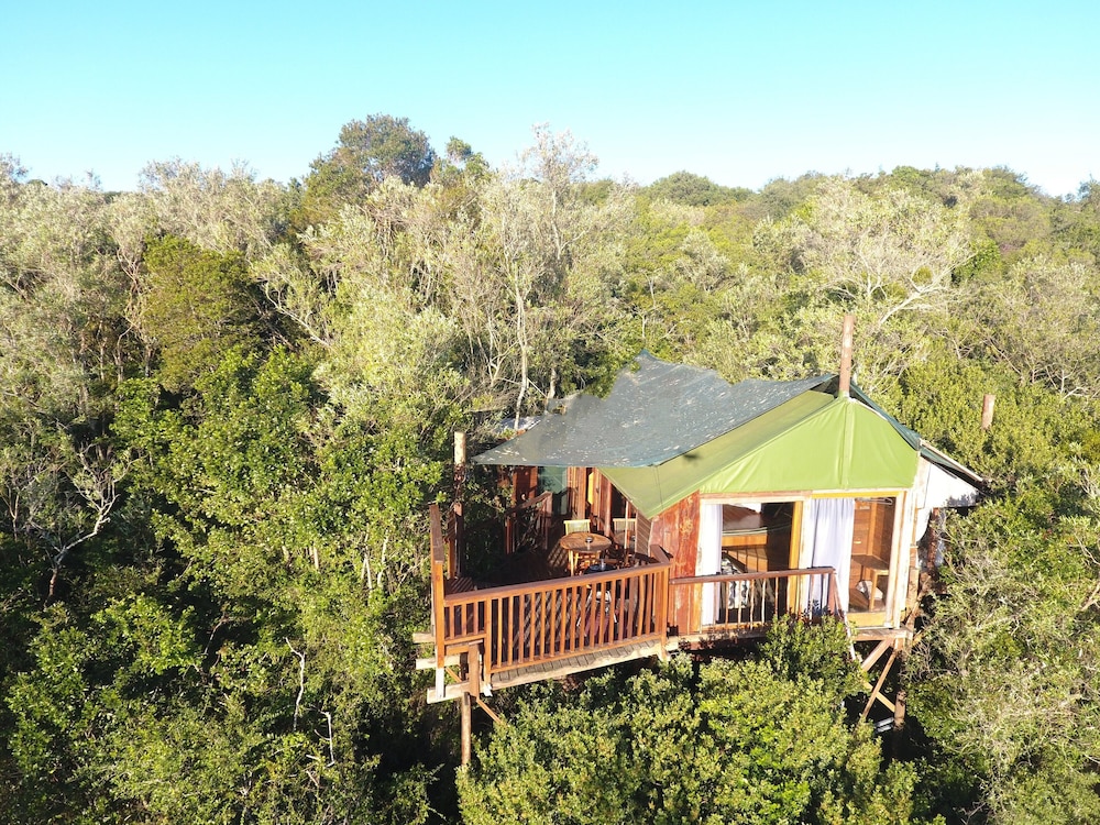 Teniqua Treetops view 5