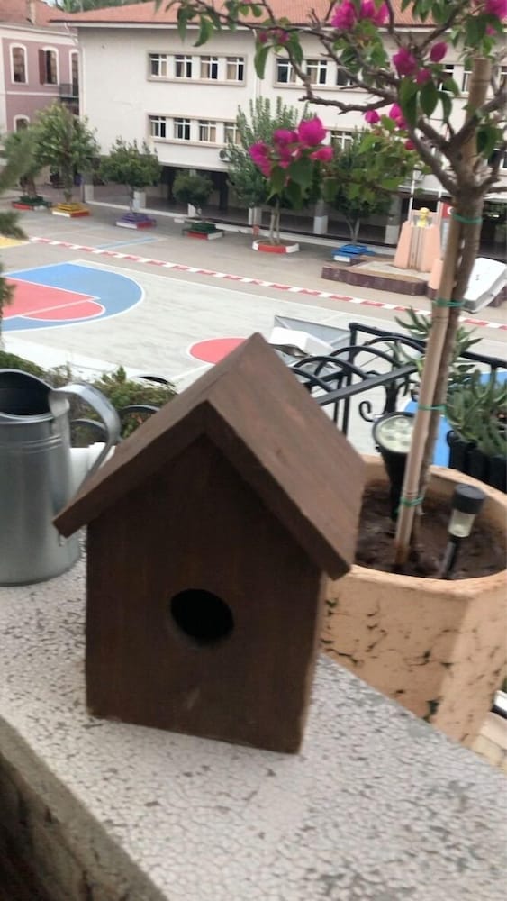 Ozzy Homes