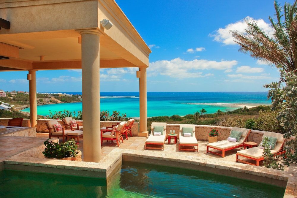 Anguilla's Bird of Paradise - Image 1