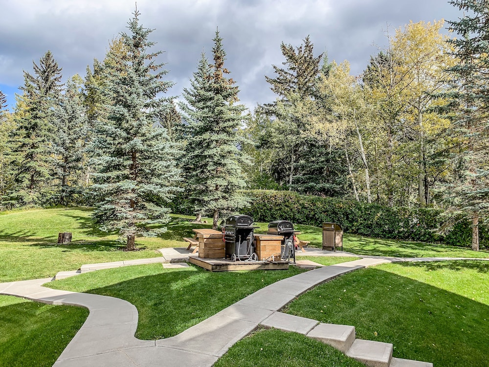 Photo 35