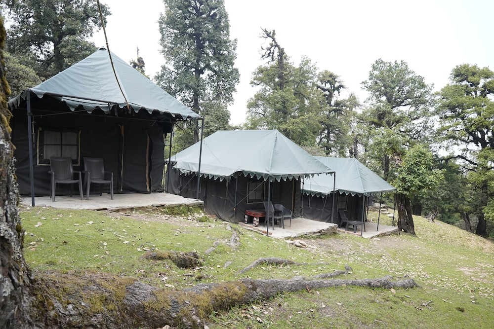 The Little Pahadi