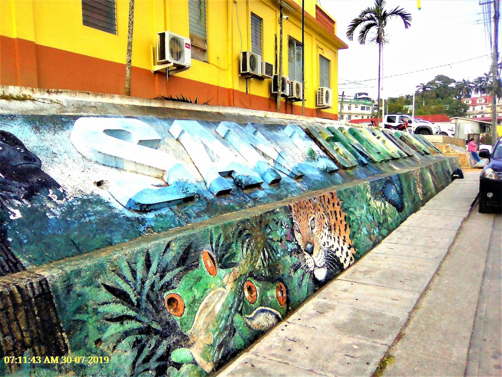 Licensed 2 Bedroom Cabin Close to San Ignacio, Local Dining, and Adventure Tours view 4