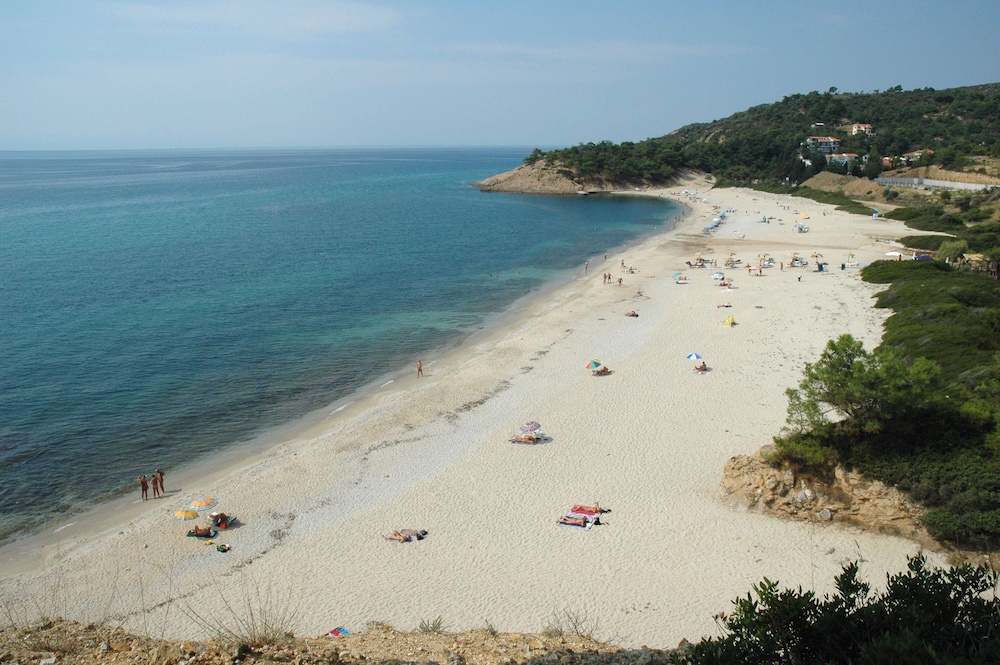 Pantheon Studios Apartments photo 2