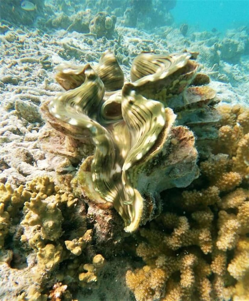 Photo 32