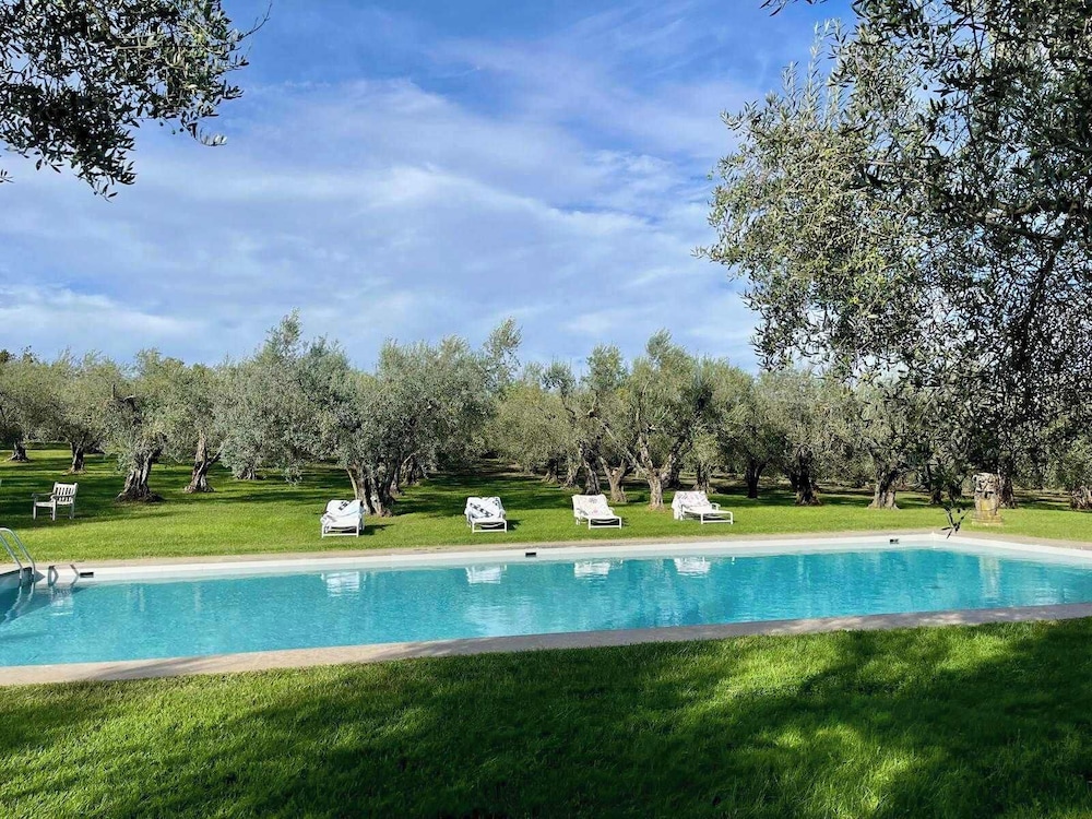 New Estate of Joy a Magnificent Historic Villa Near Rome on Glorious Ground Pool and Olives Galore