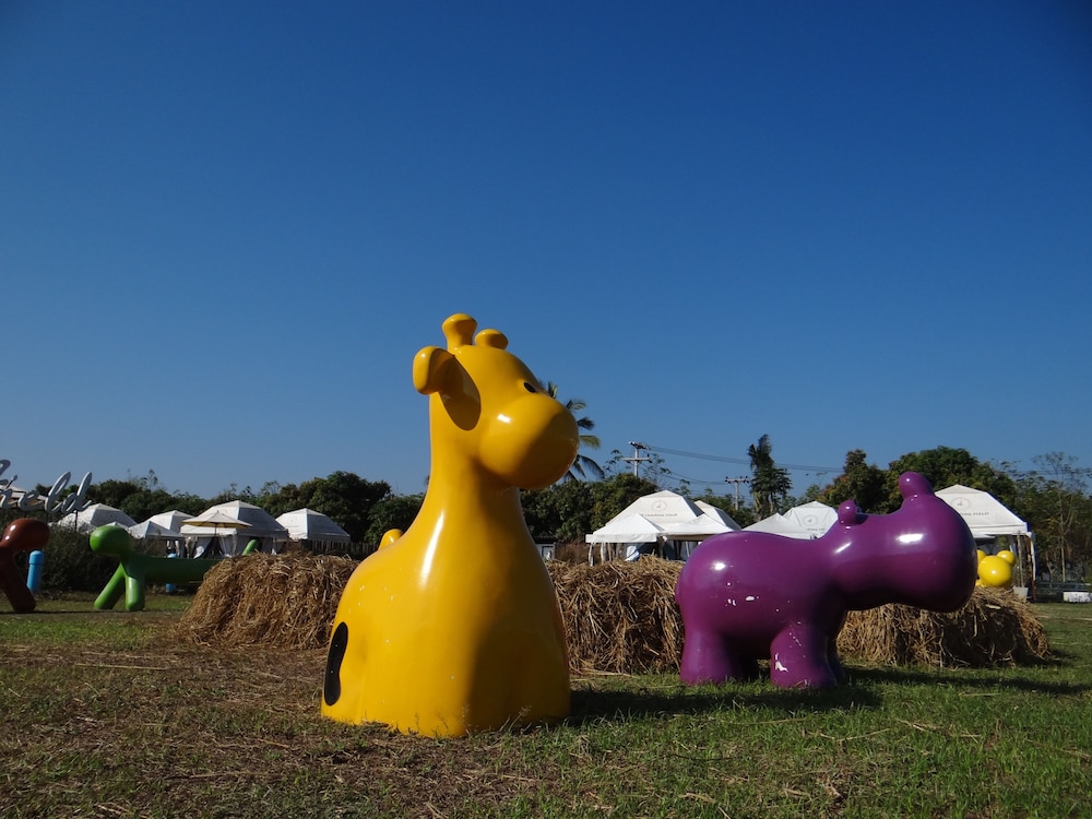 The Camping Field