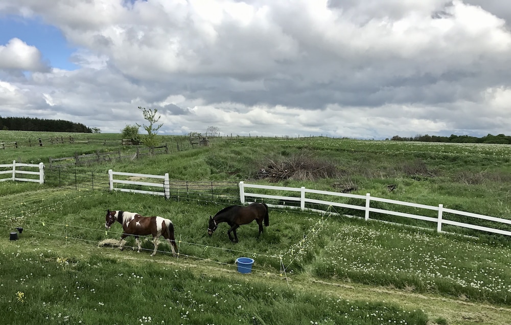 Mountain Ash Farm Country Manor