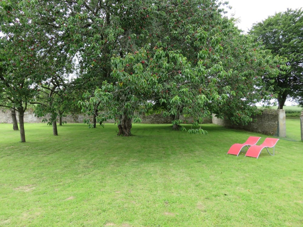 Photo 40