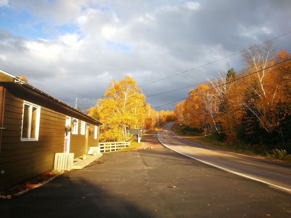 Knotty Pine Cottages