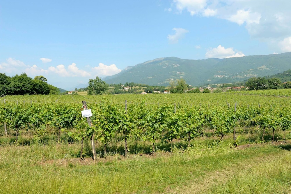 Agriturismo La Giassara