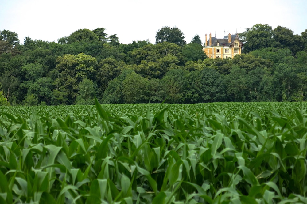 Chateau Valcreuse