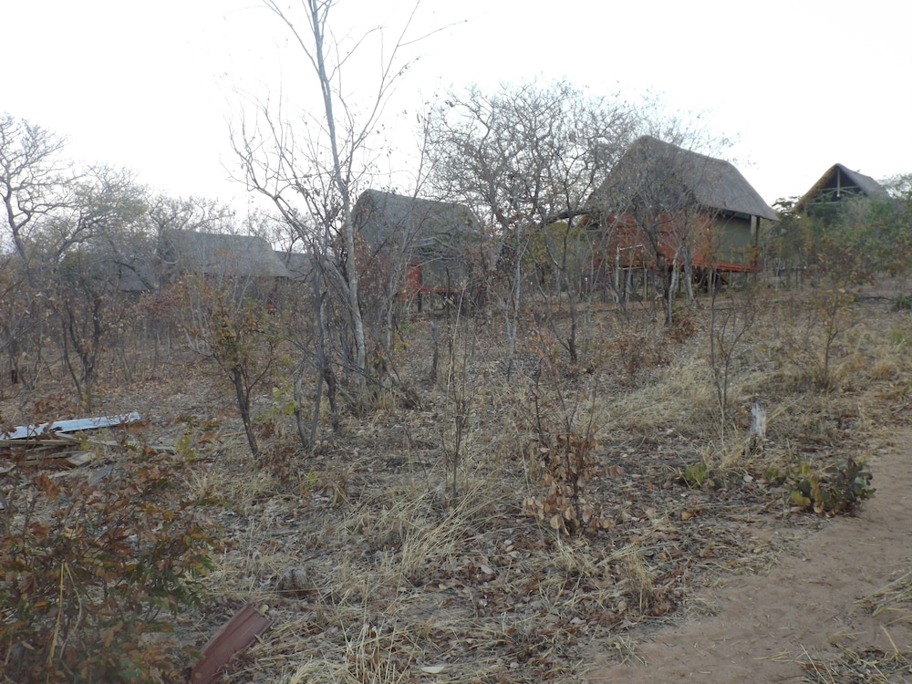 Lion Roars Lodge