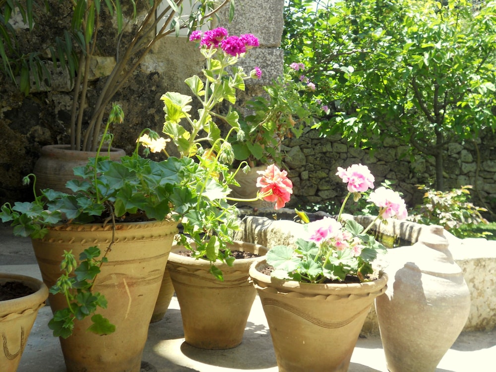 Tenuta Cammarana