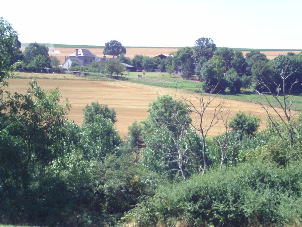 Photo 17