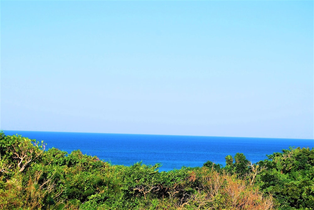 Cocoro Malolo