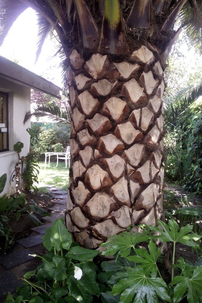 Homestay