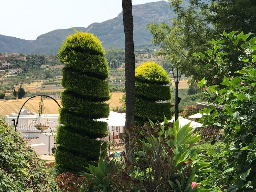 B&B Cortijo Andaluz